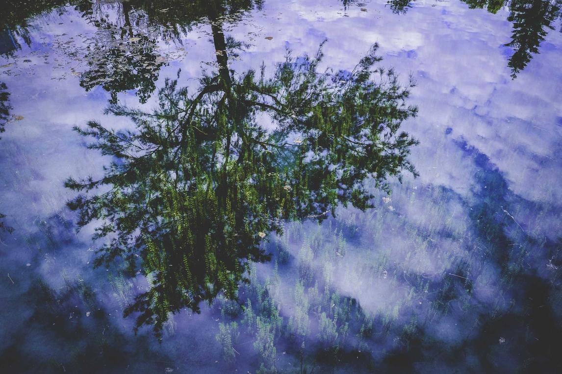 Fugiat atque autem facilis itaque eaque consequatur